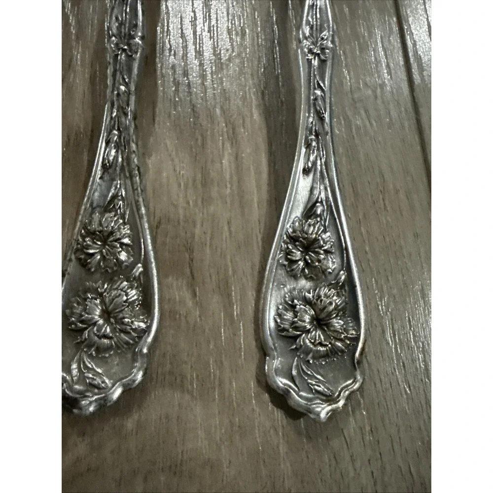 Vintage Set of 4 Carnation Silverplate 1908 by‎ Oneida Serving Tablespoon Spoons